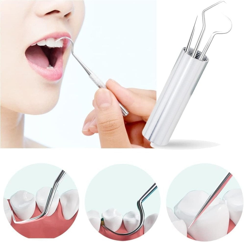 Portable Metal Toothpick & Teeth Cleaning Kit – 4pcs Set with Holder Reusable | Pocket Size | Multi-Use | Travel-Friendly - Elneor